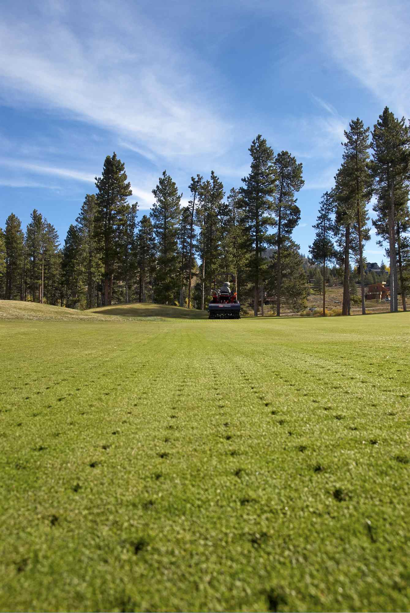 The turf aeration holes left from Toro tines on a Toro aerator.