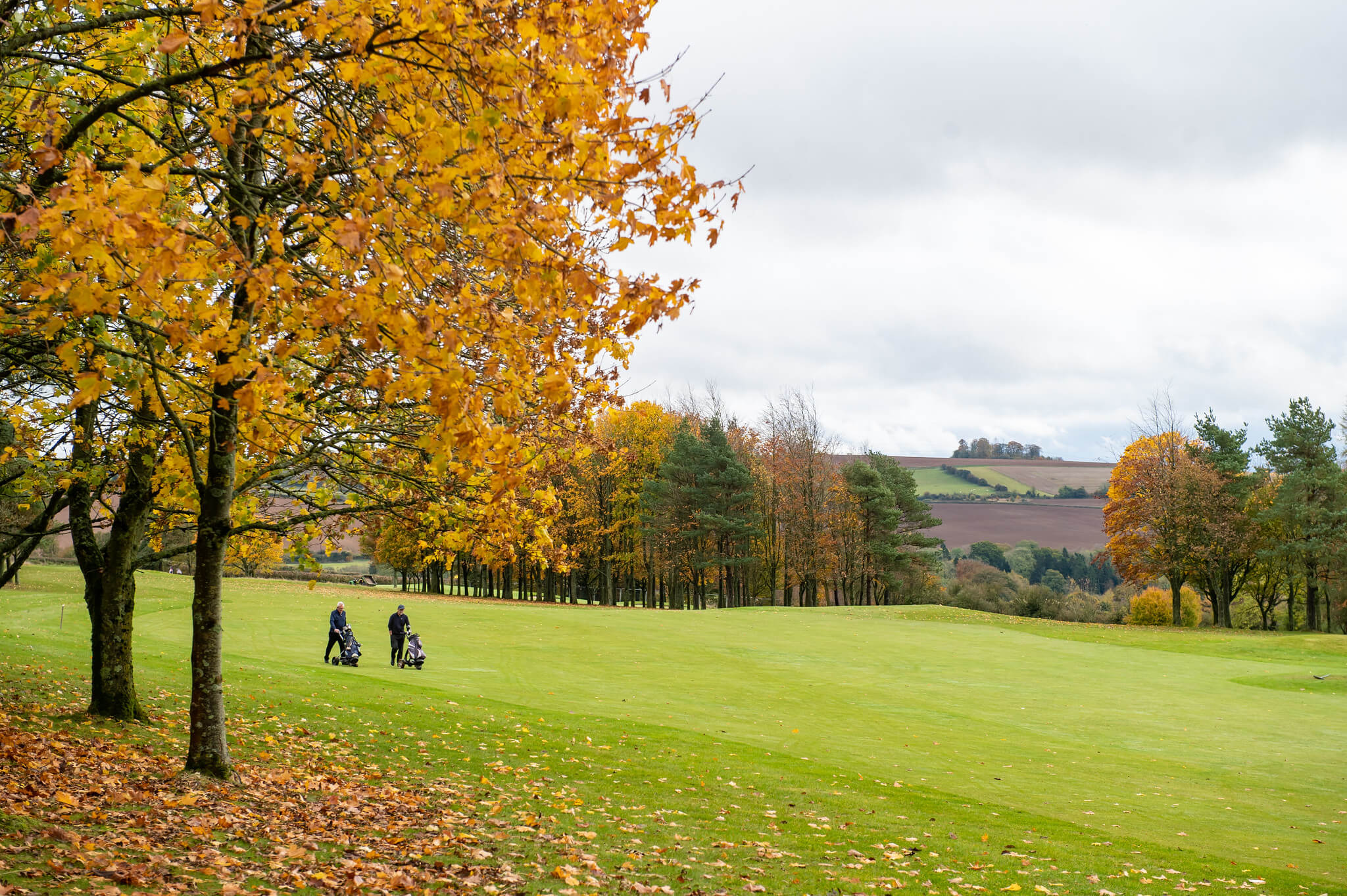 Autumn leaves on a golf course