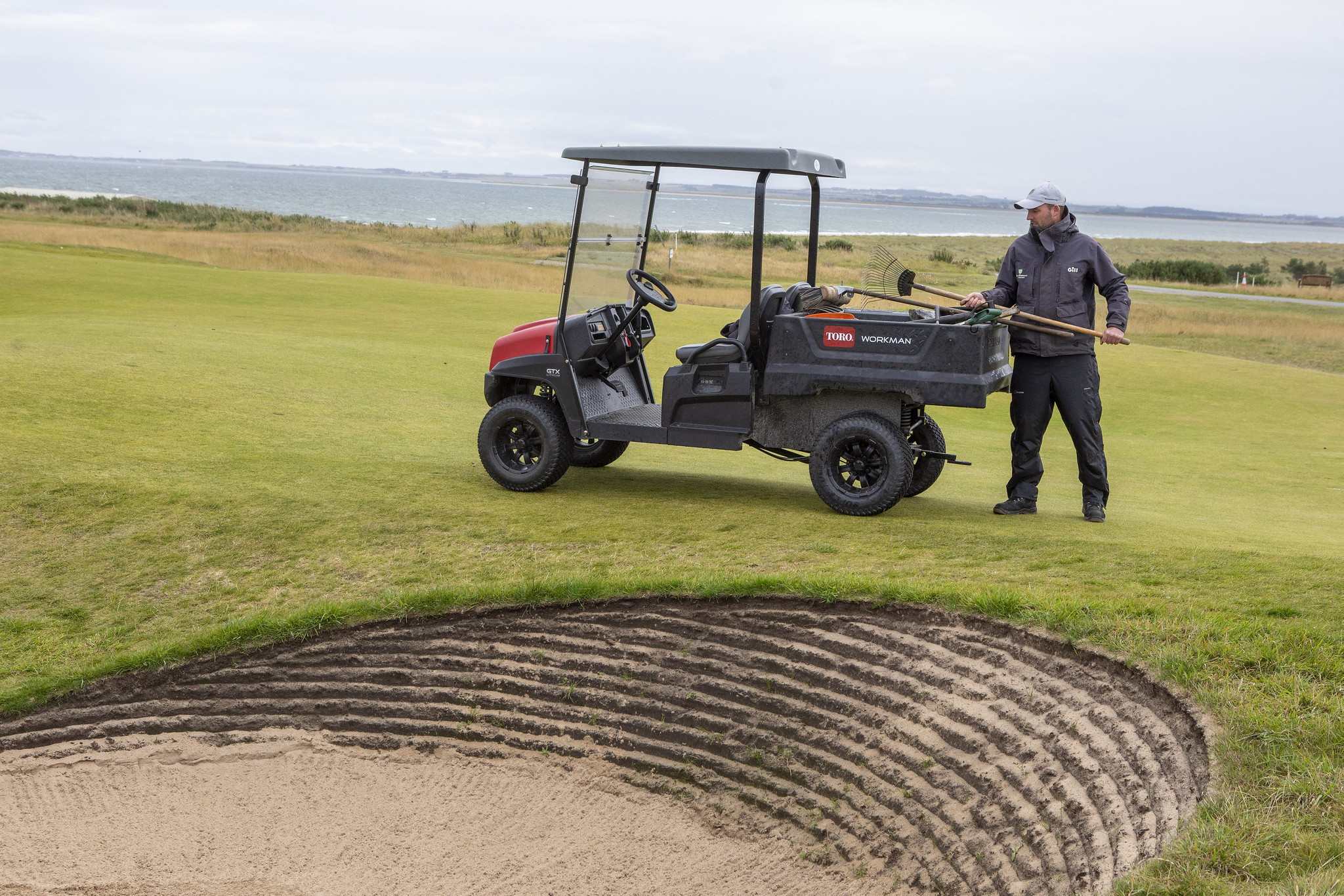 Toro Workman utility vehicle on golf course