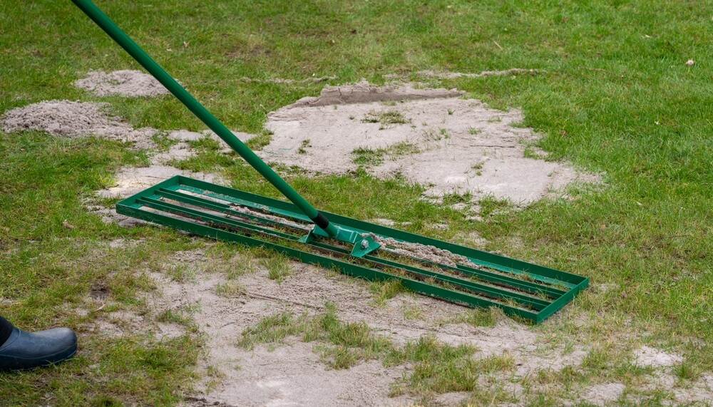 Top dressing rake