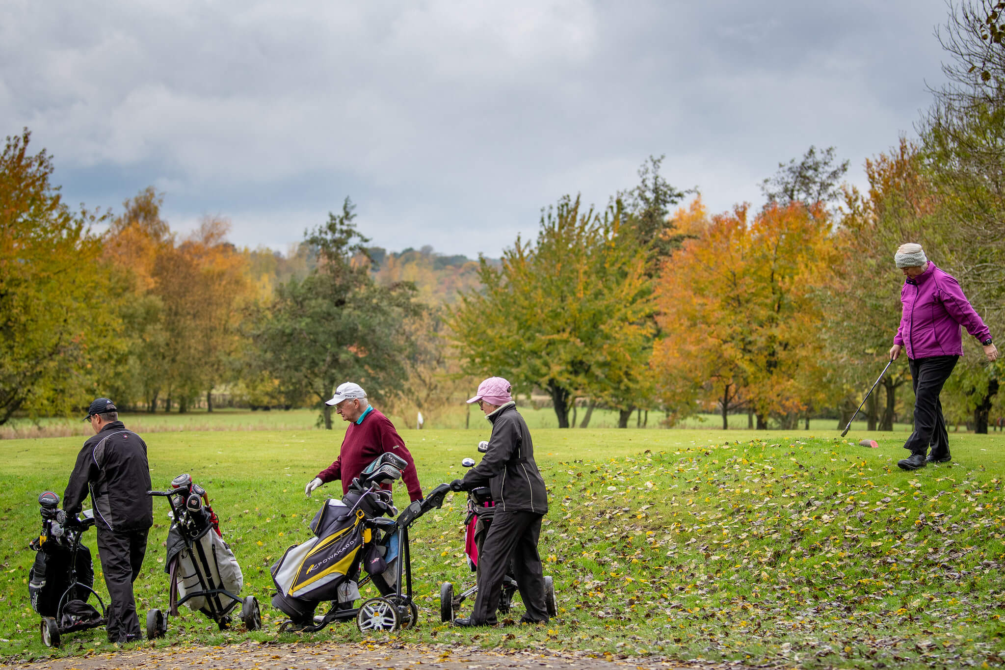 golf course leaf debris