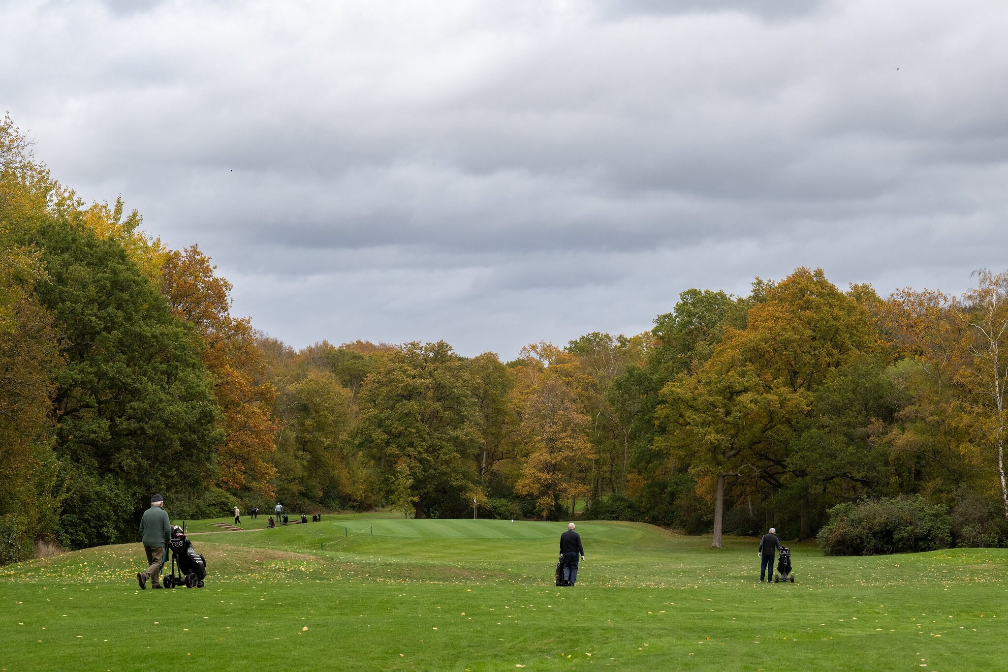 Fallen leaves on golf course