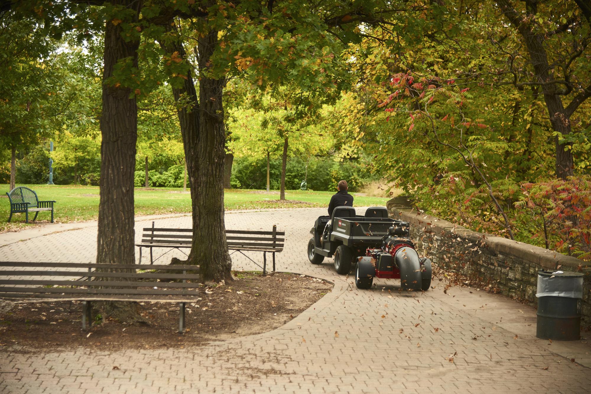 Toro Pro Force debris blower
