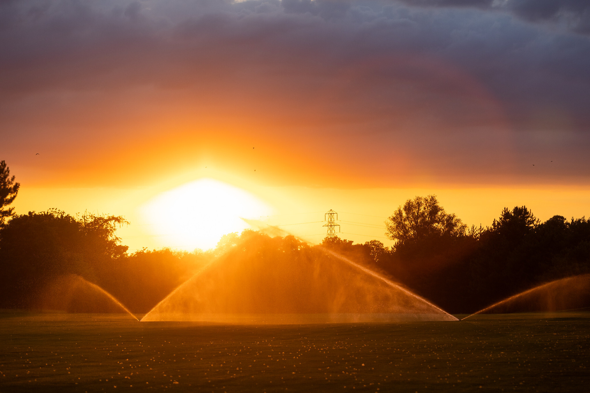 Two Toro sprinklers watering the course at Frilford Heath as the sun sets