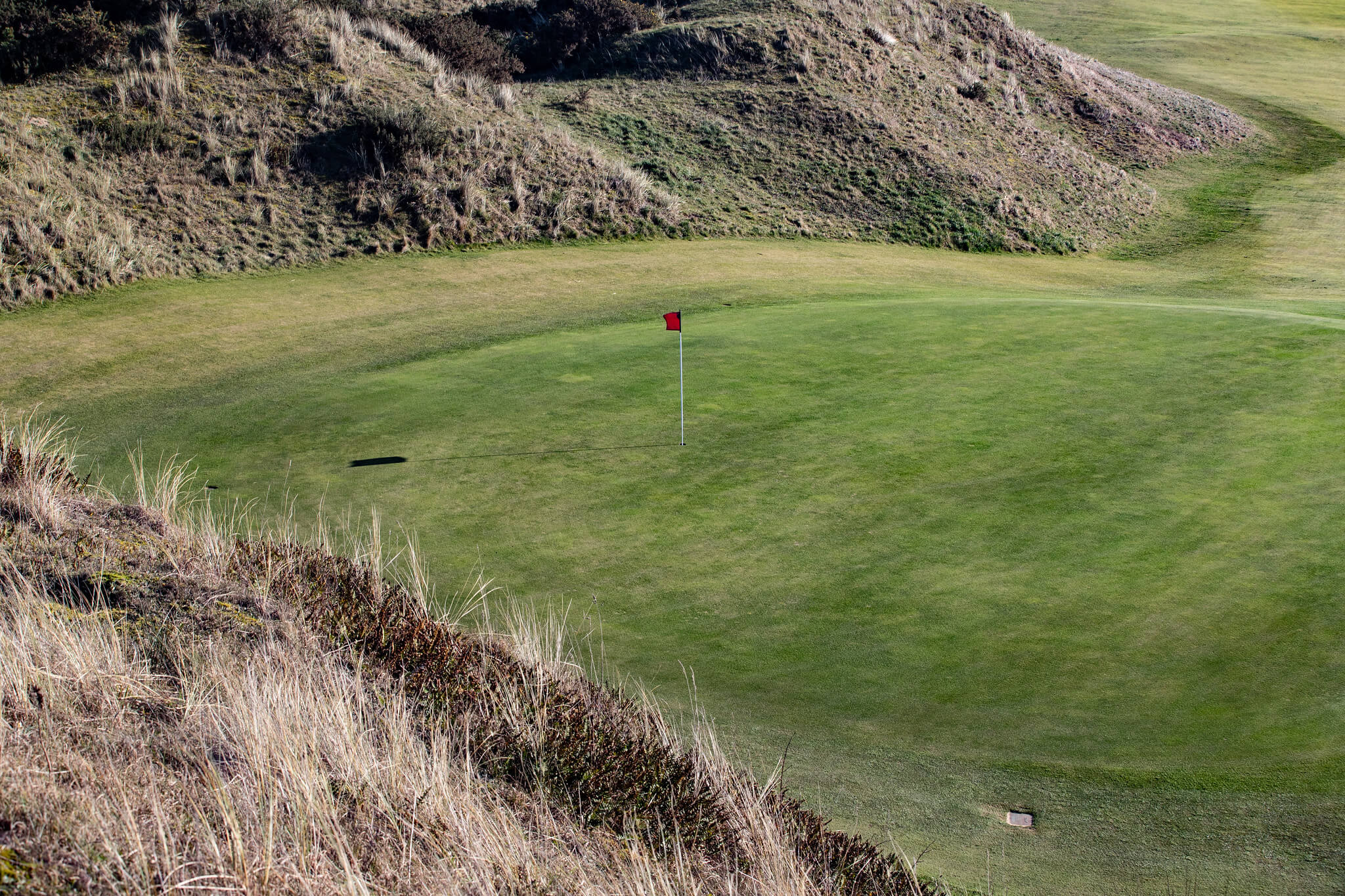 A golf course with a circle pattern cut.
