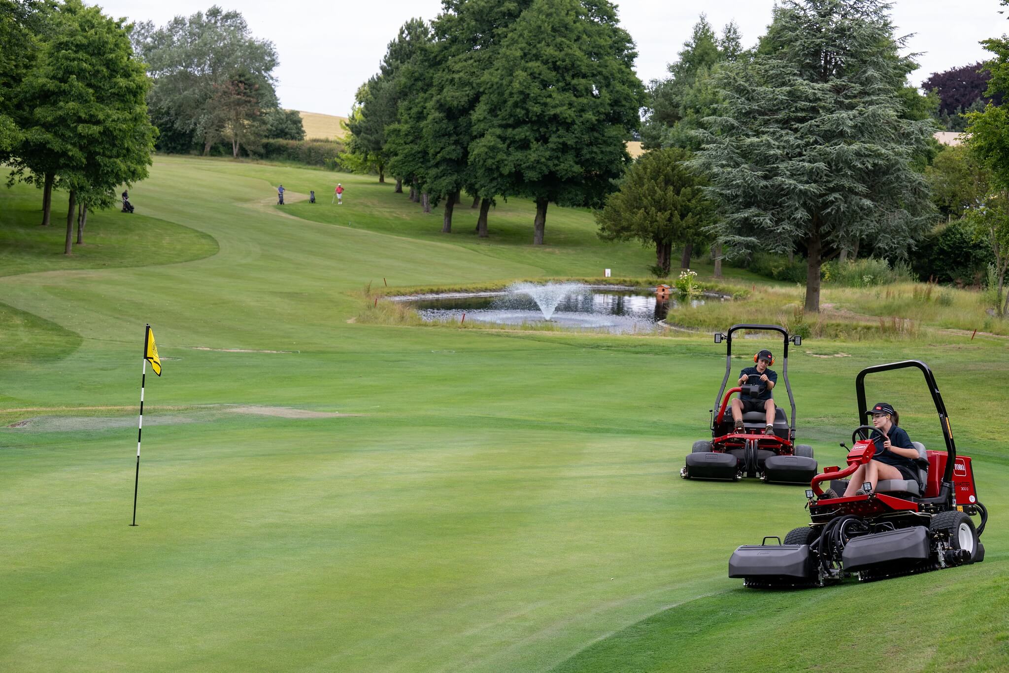 A golf course with a tuxedo fairway cut.
