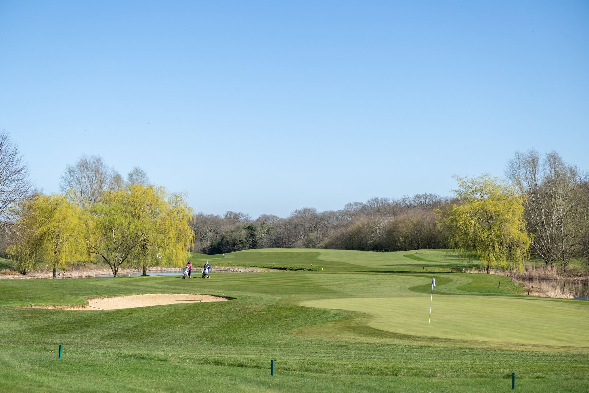A golf course fairway.