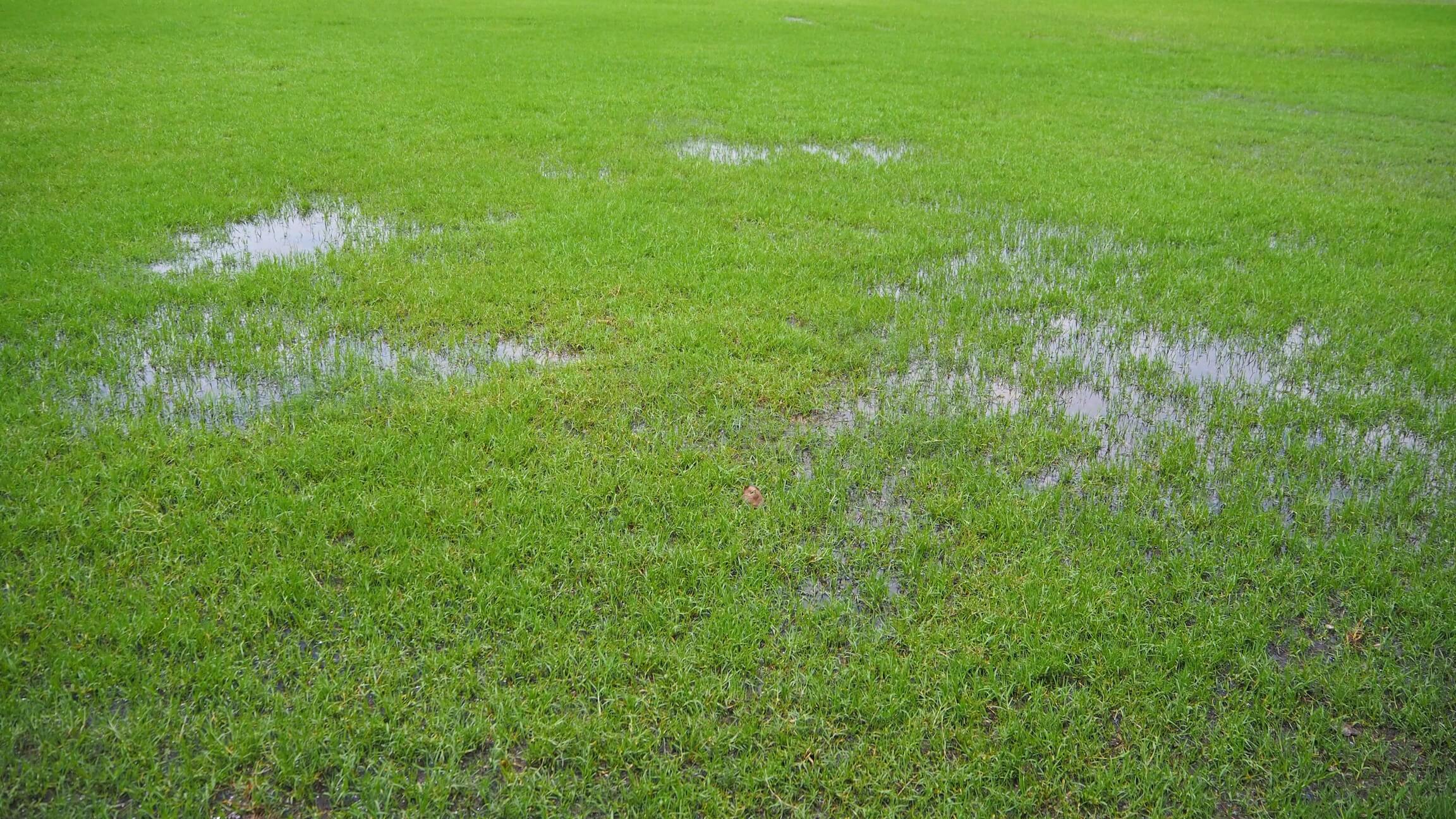 A football pitch with water puddling.