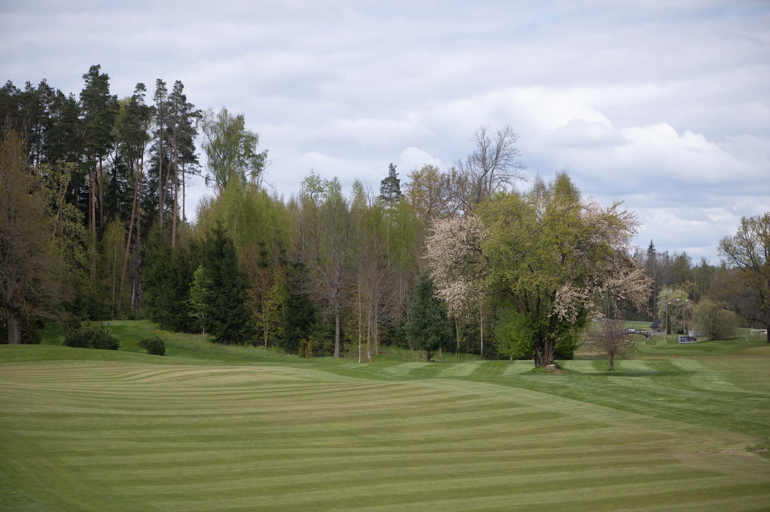 A golf course fairway with light and dark stripes.