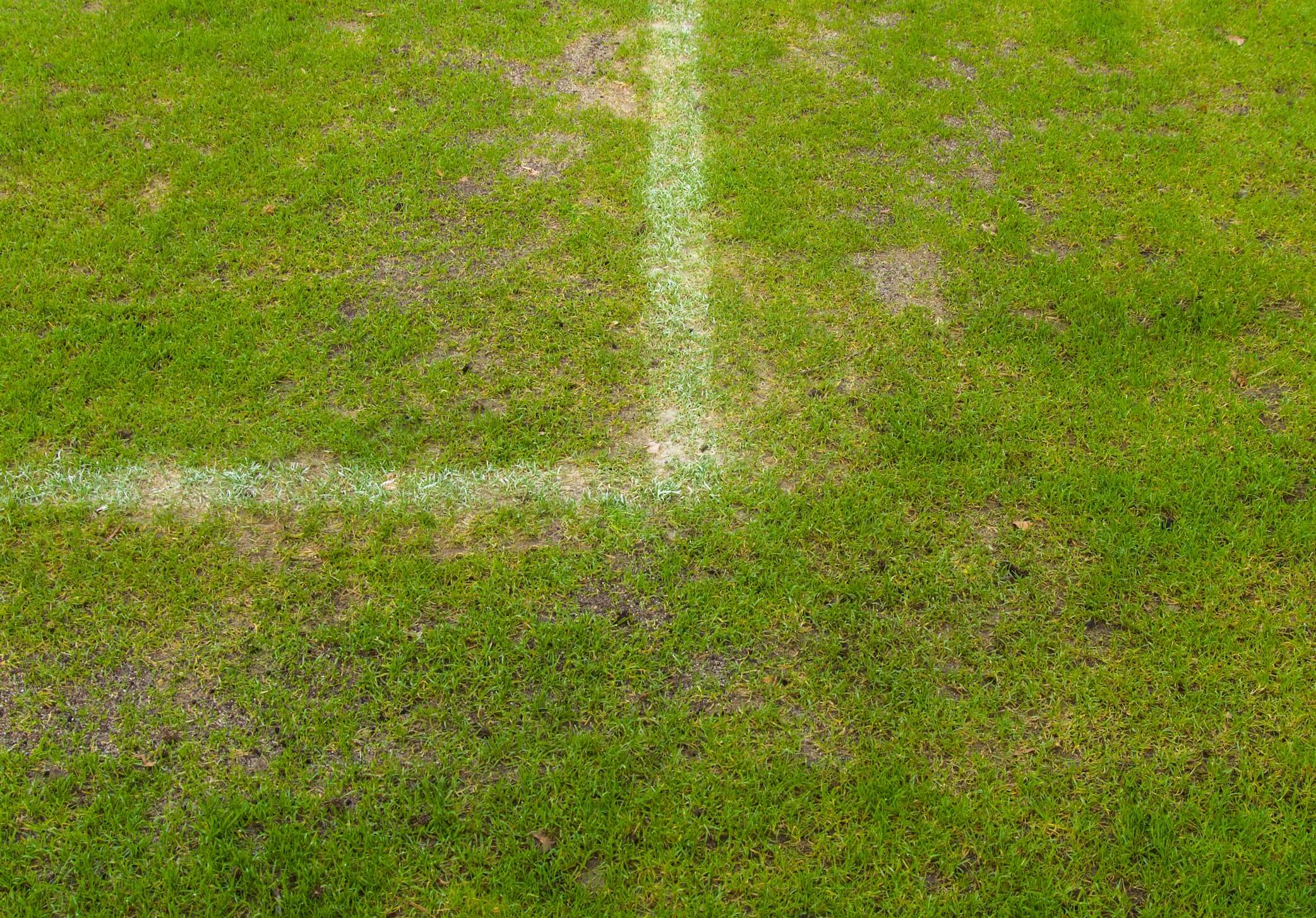 Turf damage on the corner of a football pitch due to waterlogging.