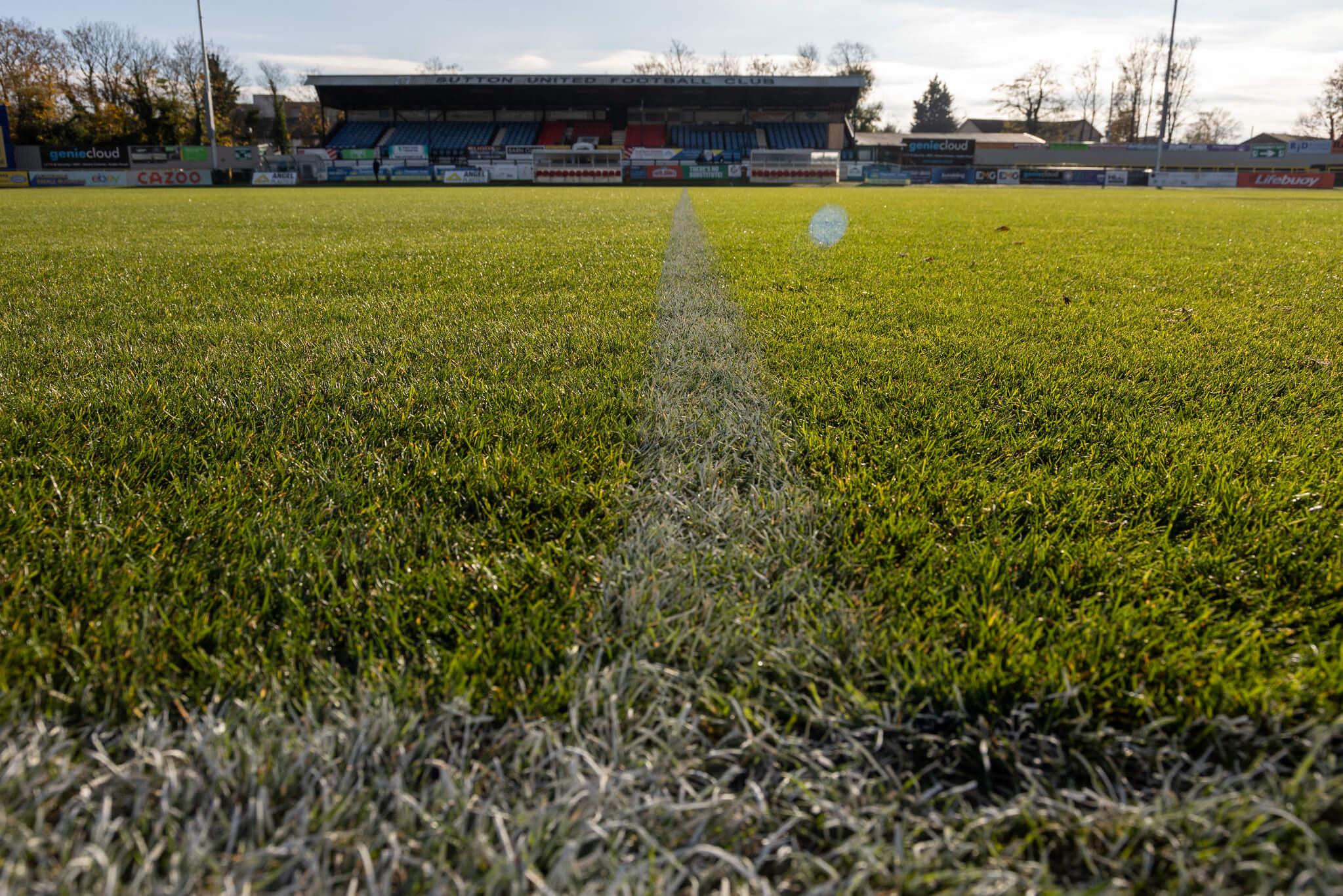 Grass football pitch.