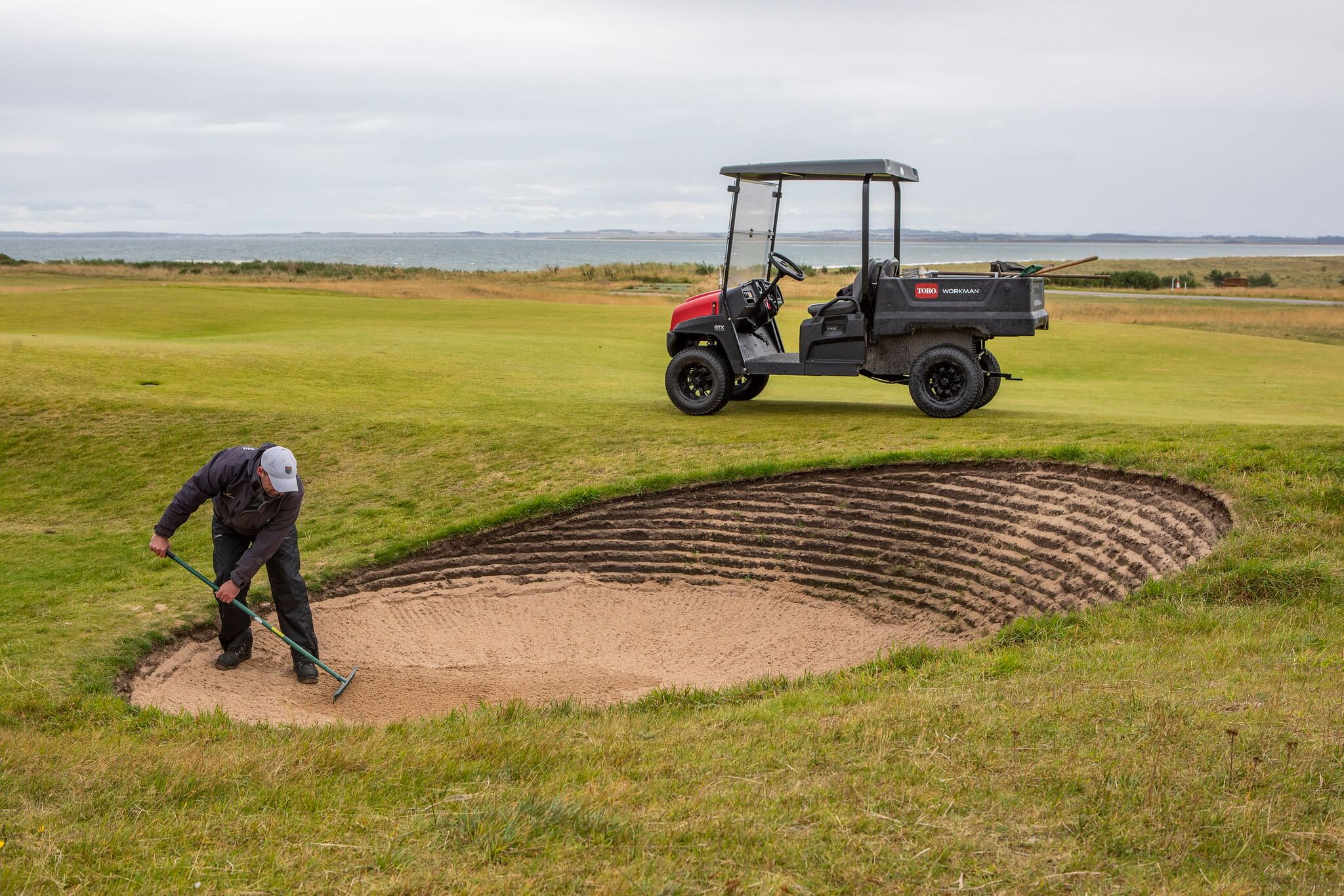 A greenkeeper raking a bunker with a Toro Workman utility vehicle parked nearby.