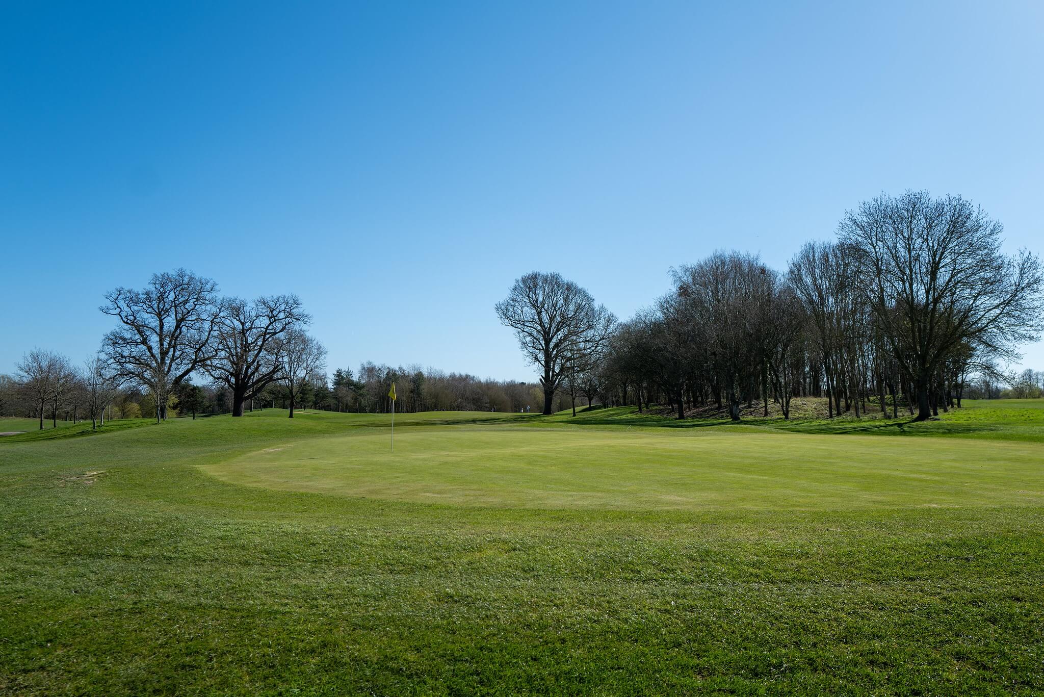 A golf green.