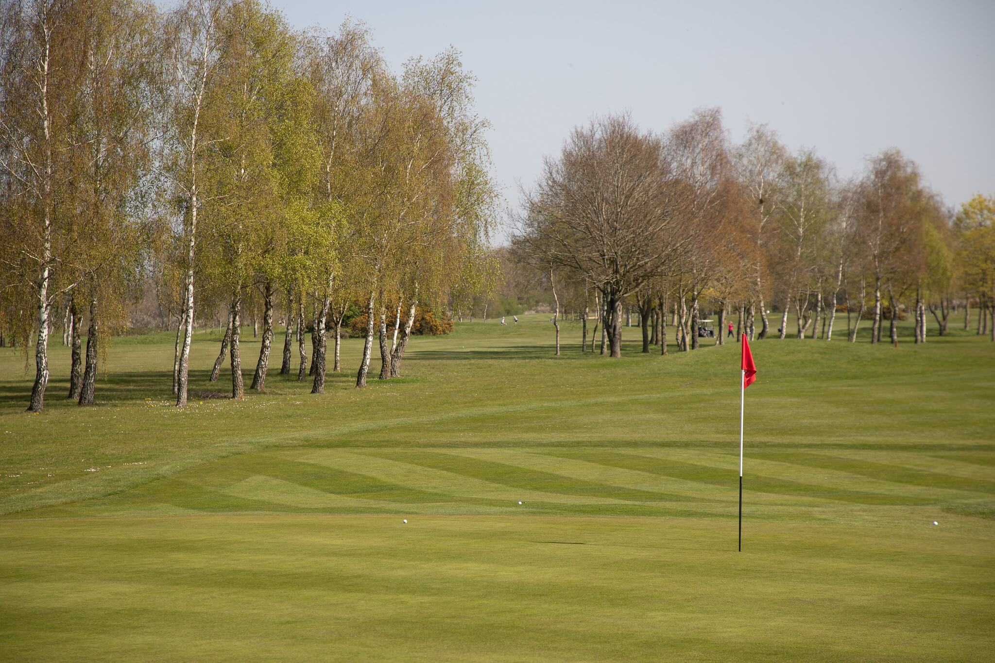 A golf course green with trees in the background.