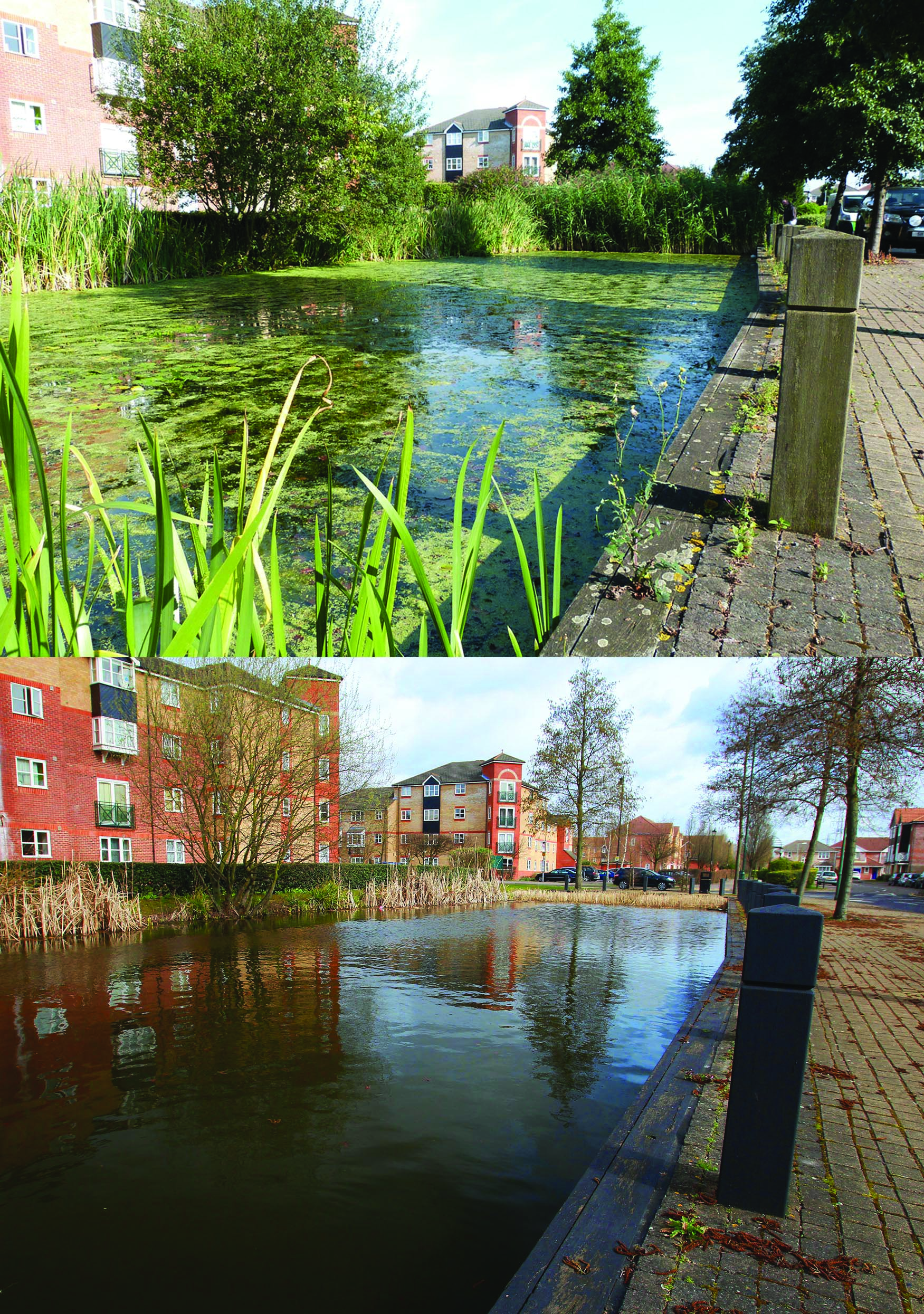 These before and after shots show how canals and lakes can be transformed with Otterbine aerators.