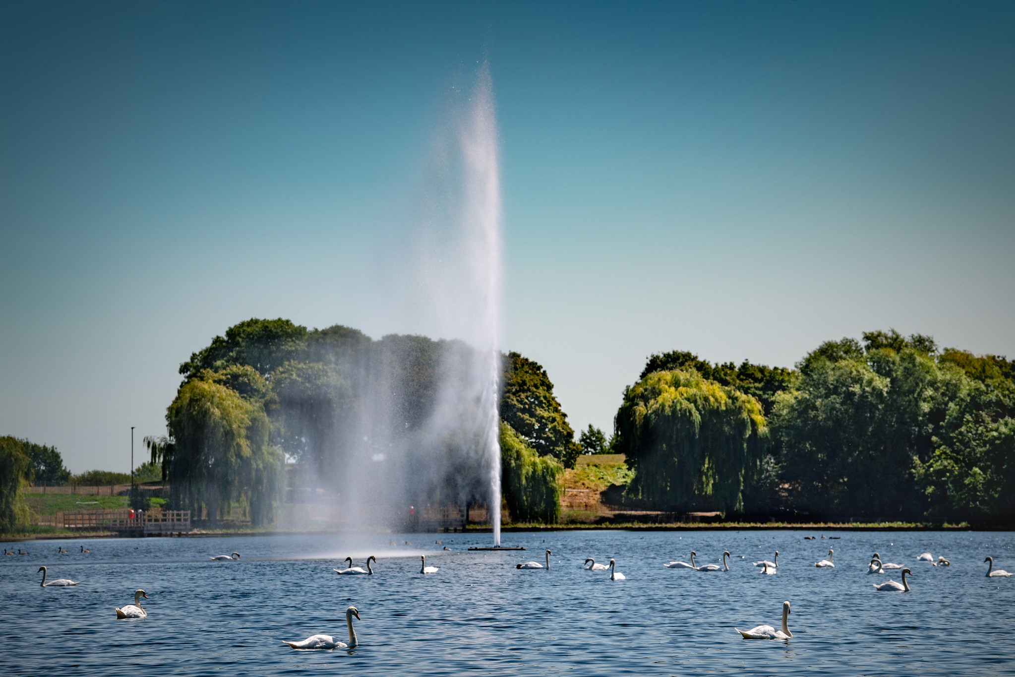 An Otterbine giant fountain spraying water high in the air above a lake full of swans.