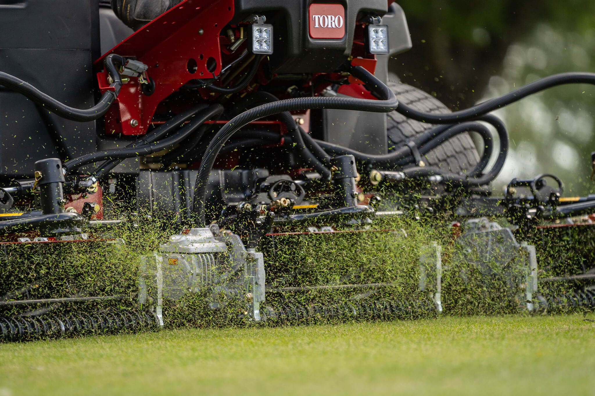 A Toro mower cutting grass. Grass is being thrown in the air as the cylinders cut it.