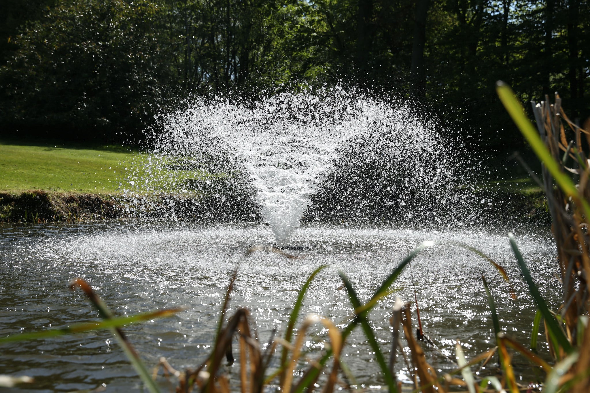 Brickendon's Otterbine aerating fountain in its body of water.