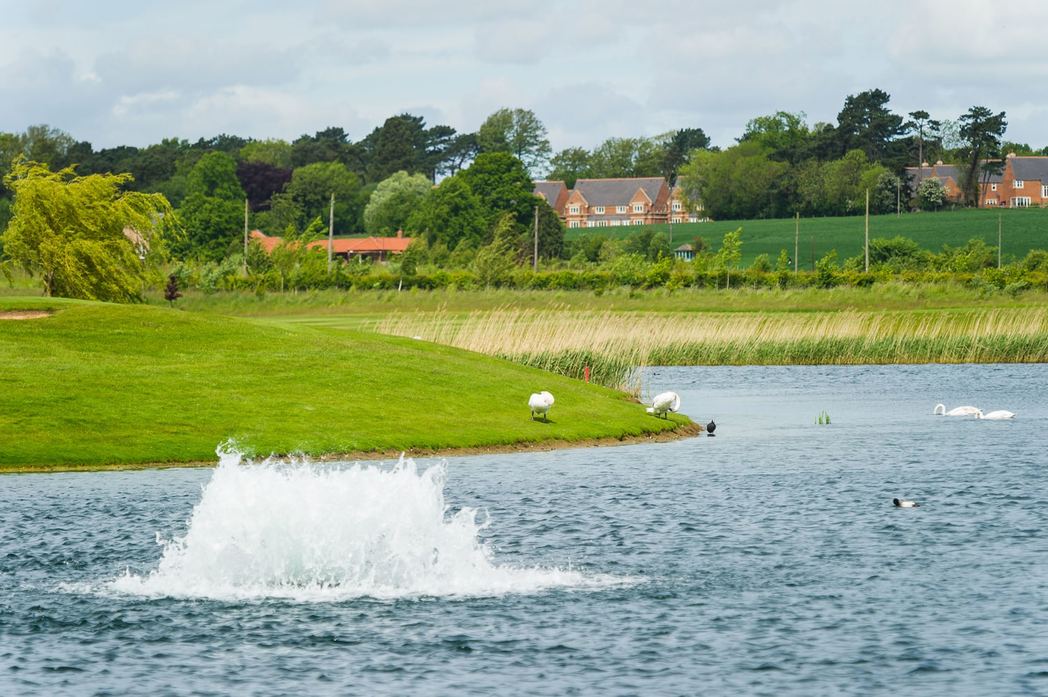 Clear waters at a golf club with an Otterbine aerating fountain in the water.