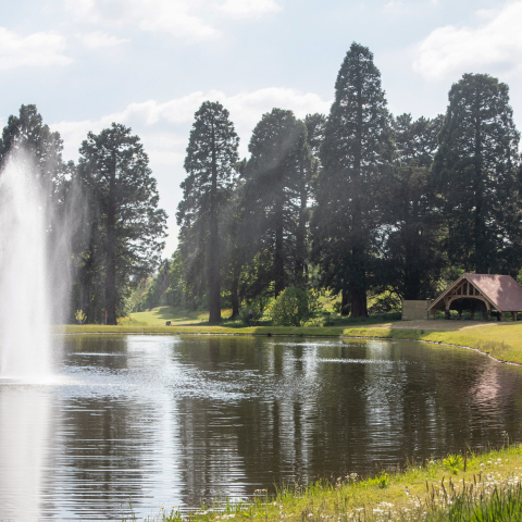 Otterbine’s 25HP Polaris Giant Fountain was installed at RHS Garden Wisley as part of the Royal Horticultural Society's project to create a new rainwater capture lake.
