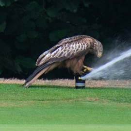 Huntercombe Golf Club Irrigation System