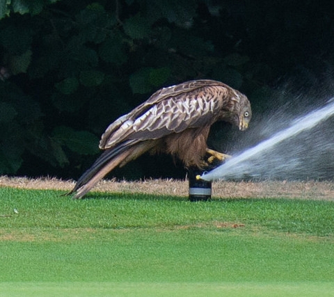 Huntercombe Golf Club Irrigation System