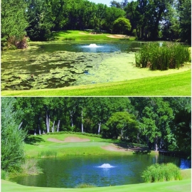 This before and after photo shows the different Otterbine can make to your water.